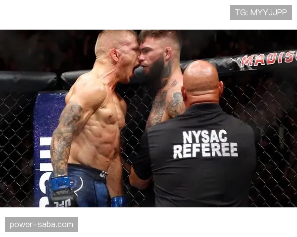 伊萨克与本泽马的终结能力与战术适配性差异解析